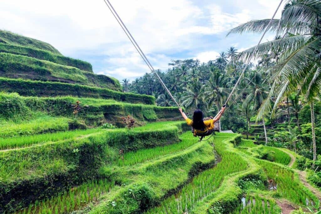Ceking rice Terrace
