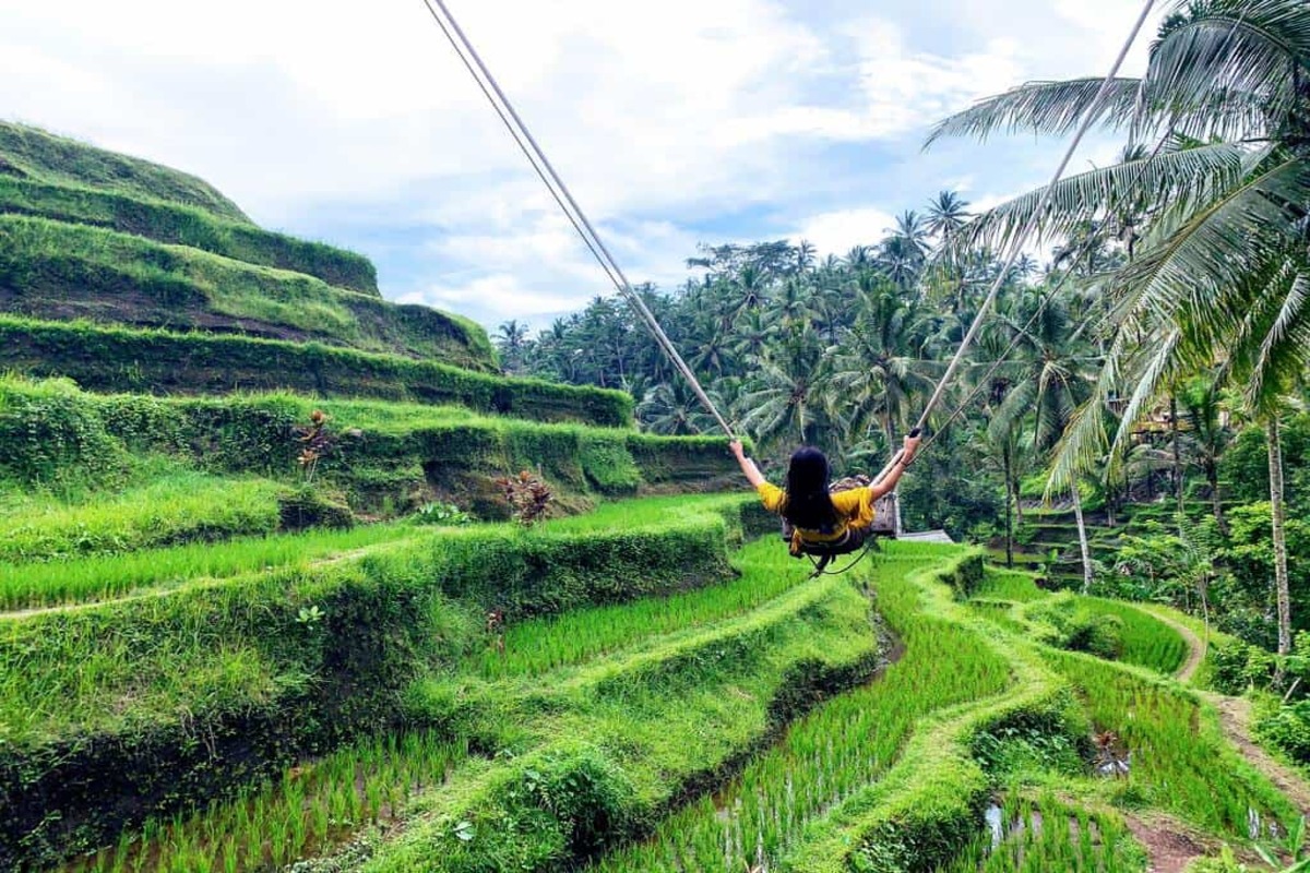 Ceking rice Terrace